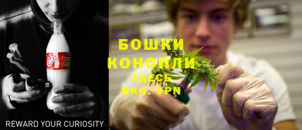 гидра Михайловка