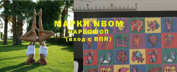 гидра Михайловка
