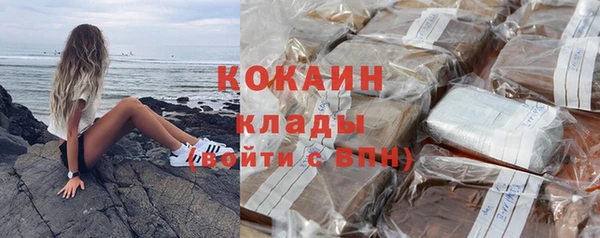 гидра Михайловка