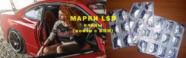 гидра Михайловка
