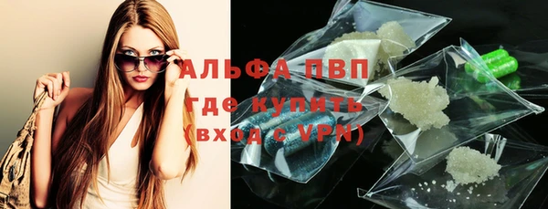 гидра Михайловка