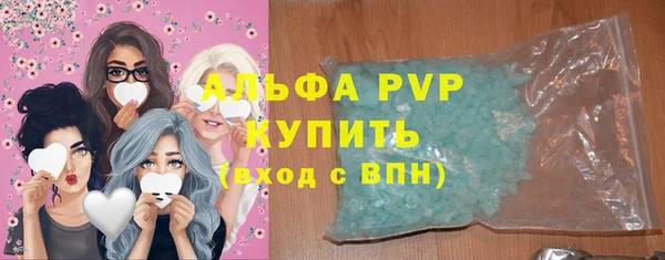 гидра Михайловка