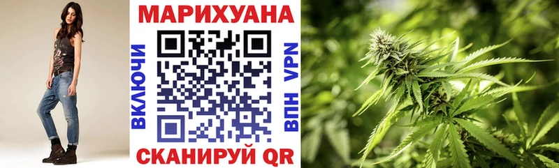 Бошки Шишки семена  Сусуман 